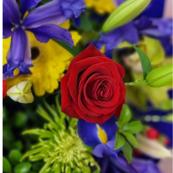 Floral Bouquet - Auckland